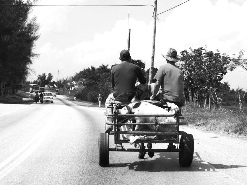 Reportage Cuba