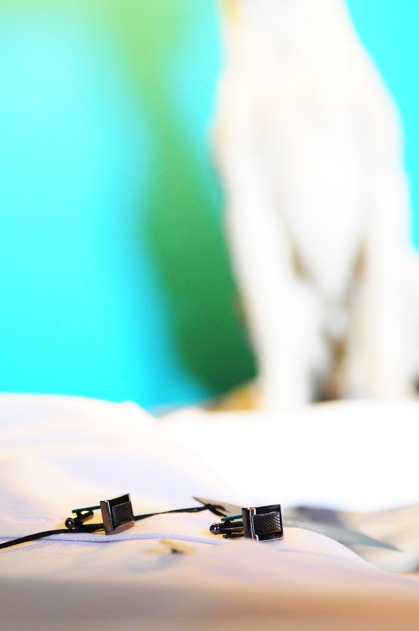 Yan & Rémy Audrey Versini Photographe