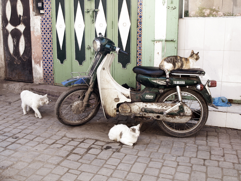 Maroc Audrey Versini Photographe