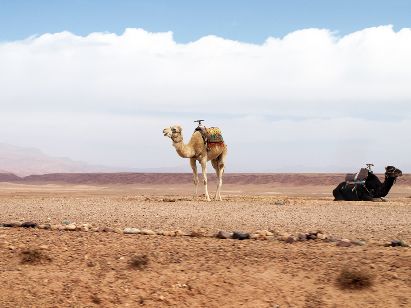 Maroc Audrey Versini Photographe